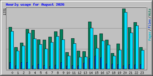 Hourly usage for August 2026